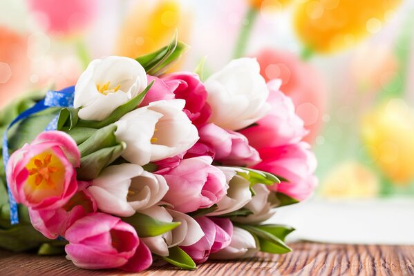 Spring bouquet of white and pink tulips