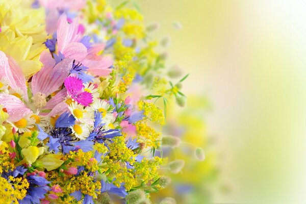 Sommer-Blumenstrauß aus Kamille mit Tropfen