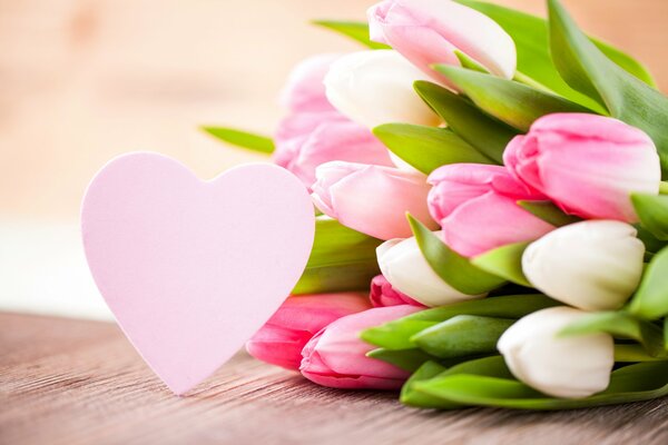 Bouquet of pink tulips