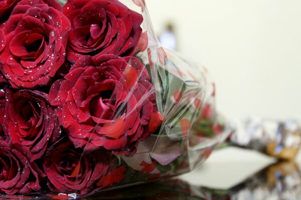 Bouquet di rose bordeaux in confezione trasparente