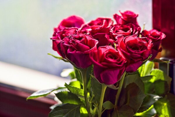 Bouquet of bright scarlet roses