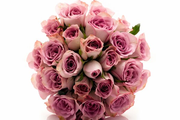 A wonderful bouquet of gorgeous roses