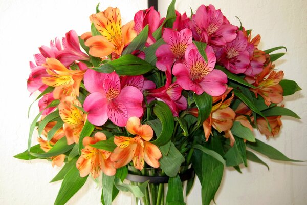 Delicioso ramo brillante de alstroemeria hermosa floreciente