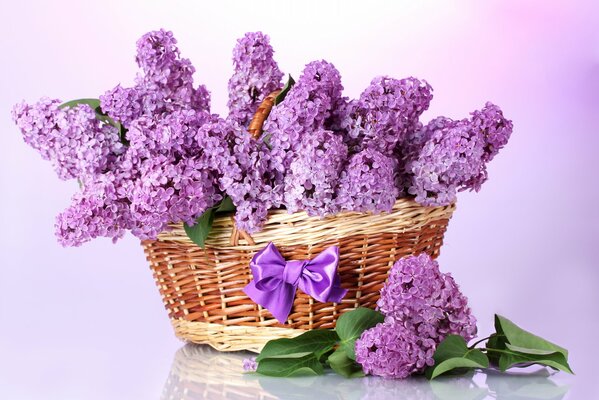 Lilac in a basket, spring, painting