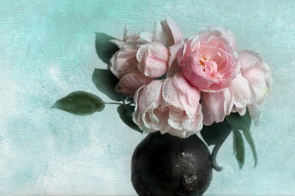 Pale pink roses in a vase on a blue background