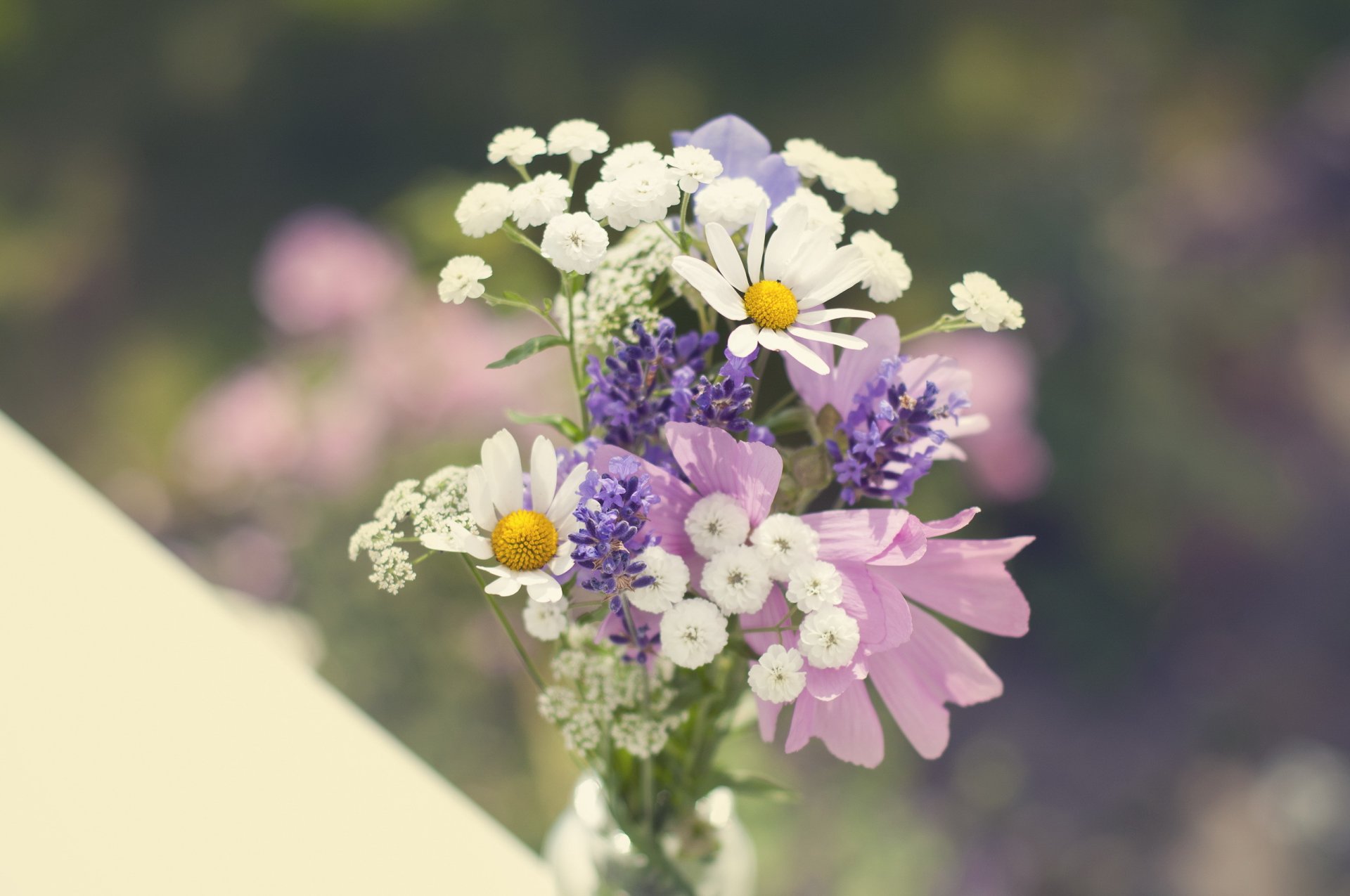 bouquet fiori di campo margherita