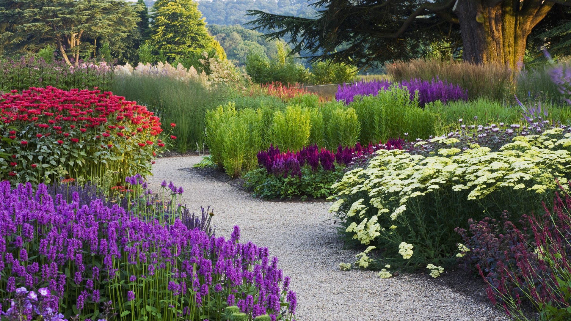 flower park supplies miscellaneous tree track path