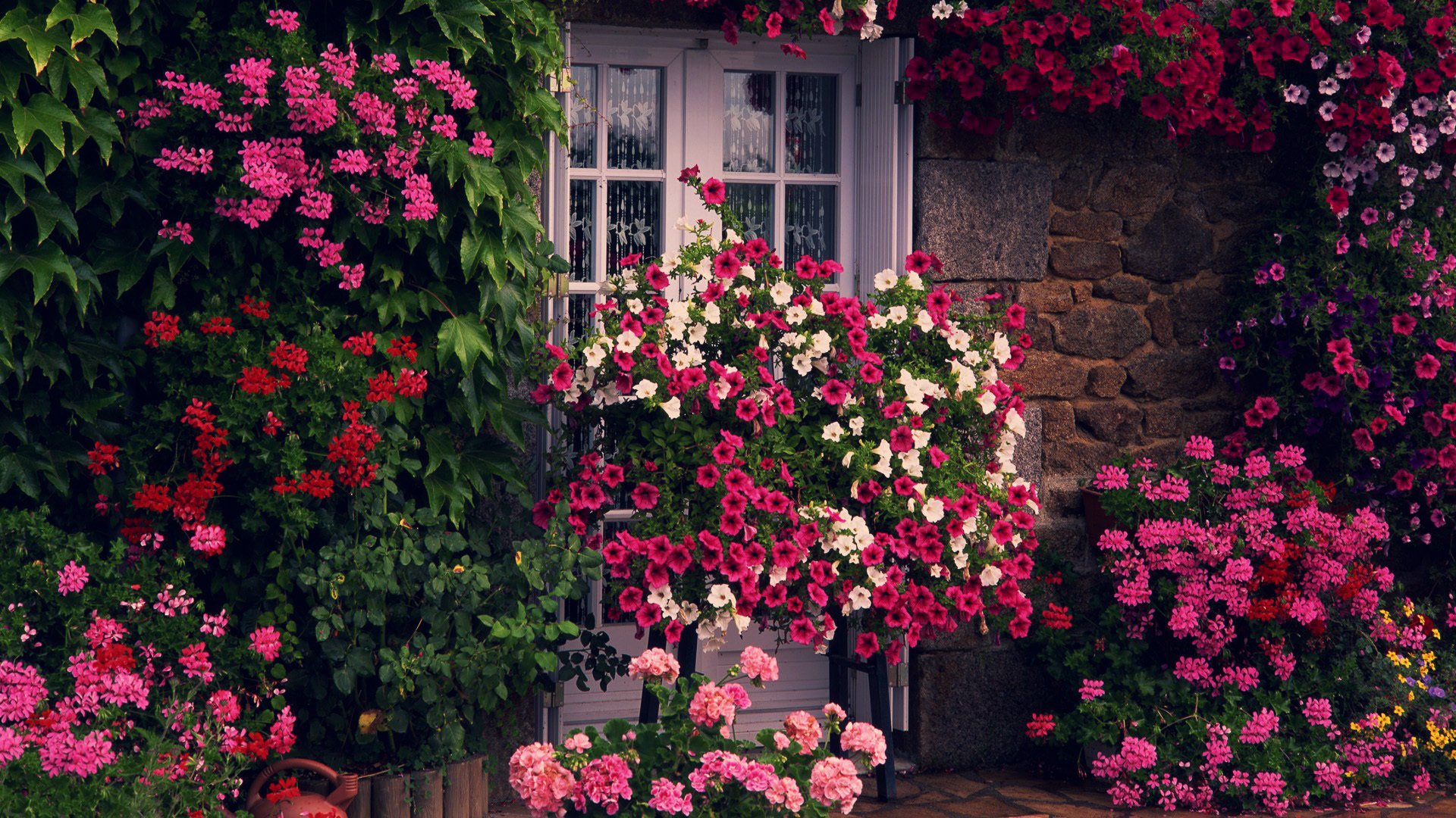 fleurs verdure maison porte mur