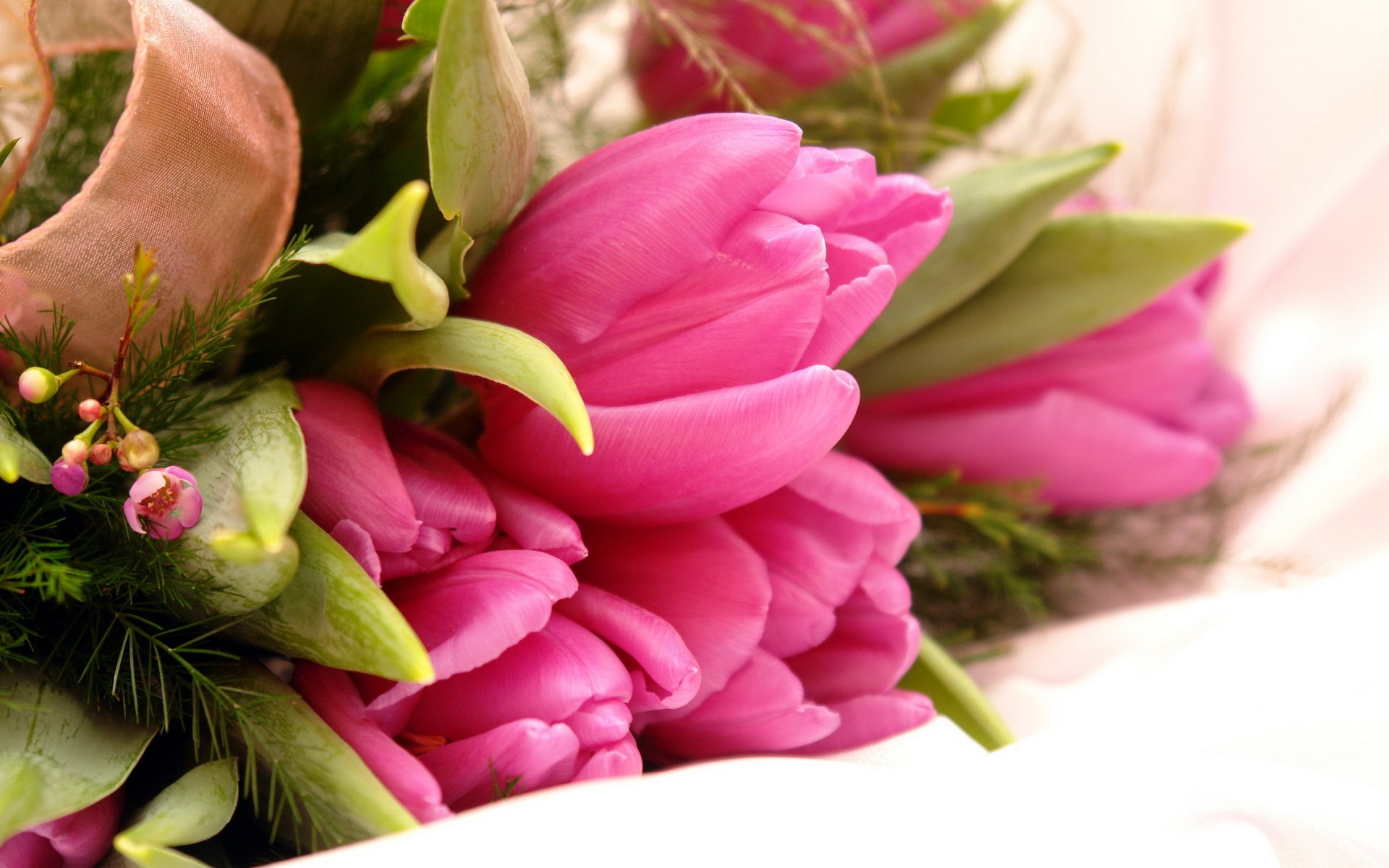 flower tulips pink bouquet leaves petals close up beautiful scent fragrance flower