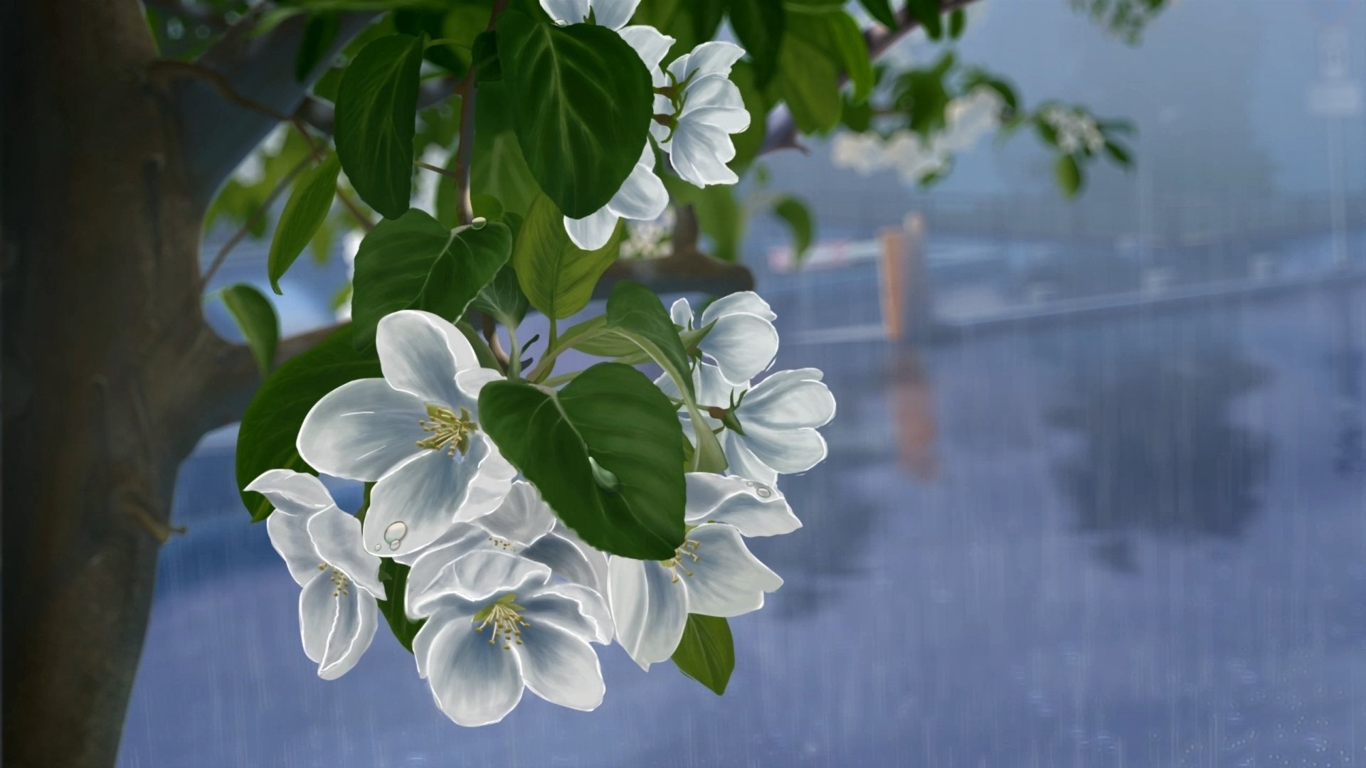 art dessin fleurs blanc arbre pommier pluie gouttes branche feuilles