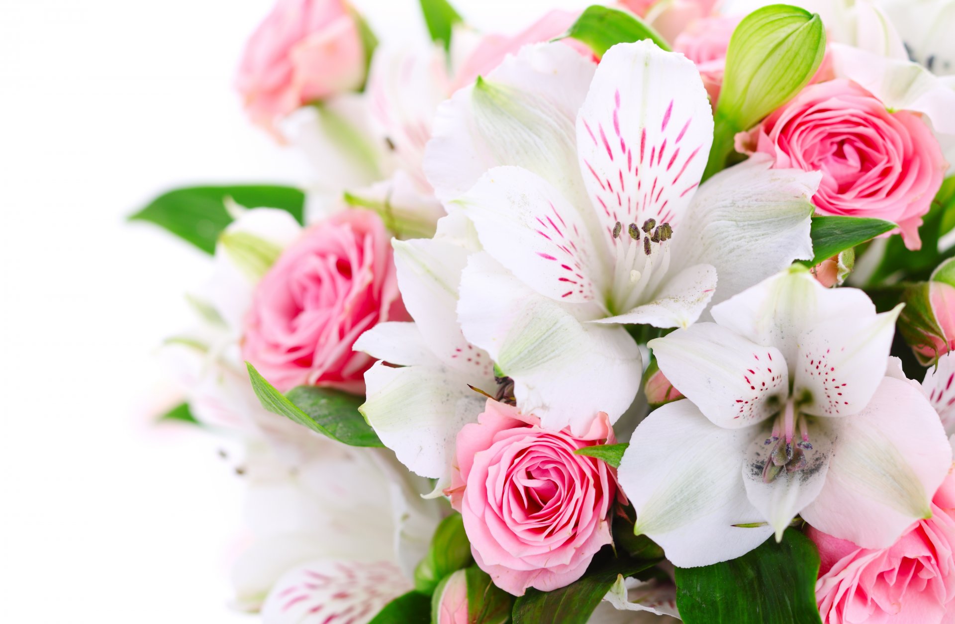 roses pink orchid white flower bouquet