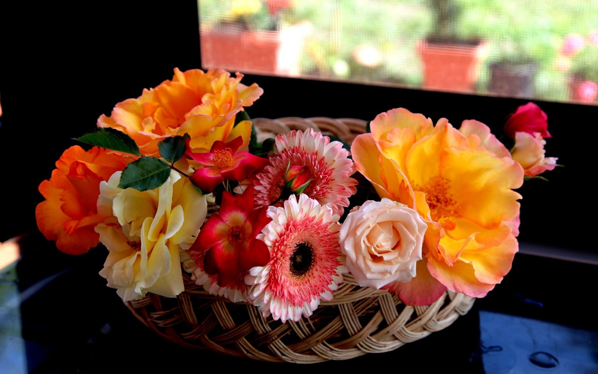 roses gerbera basket