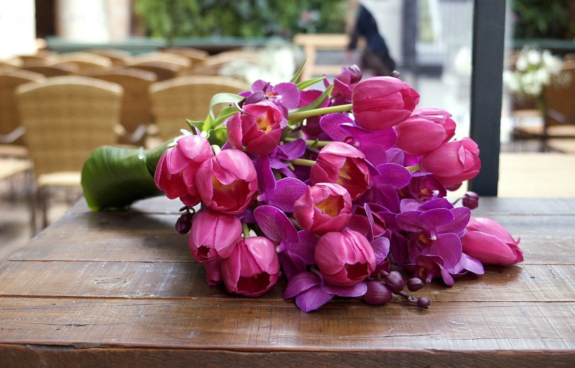 blumen tulpen orchideen knospen blätter blütenblätter rosa hell gesättigt farbe