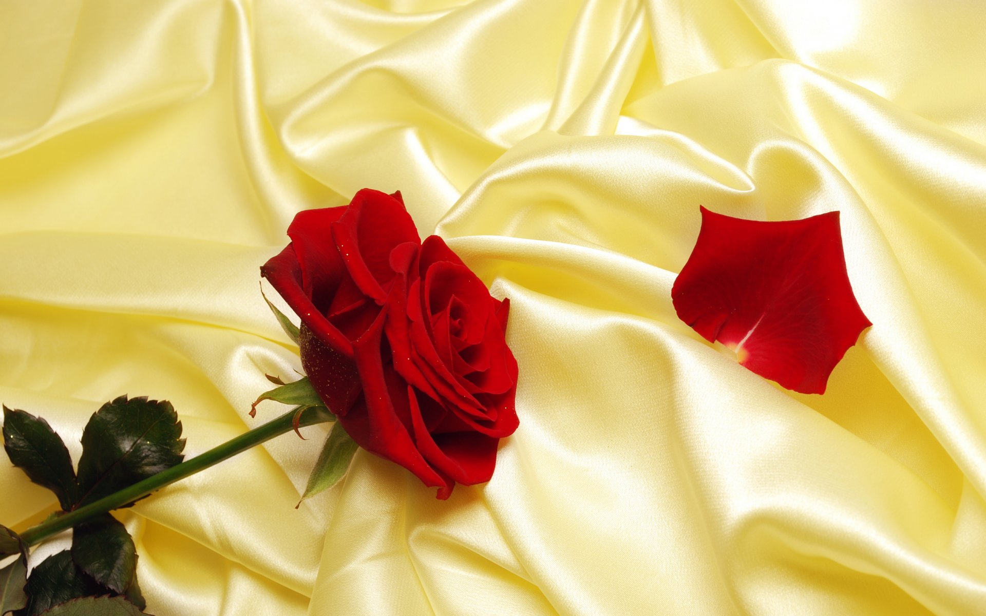 atin silk rose petals cloth