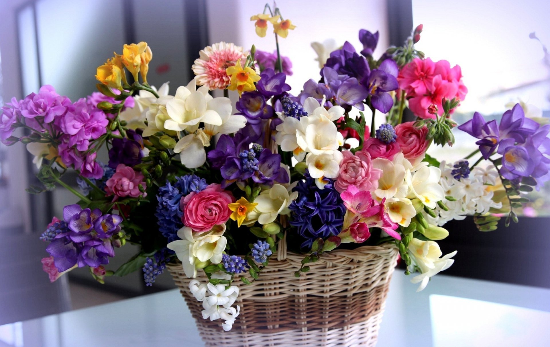 fleurs panier bouquet différent belle ranunculus freesia jacinthes