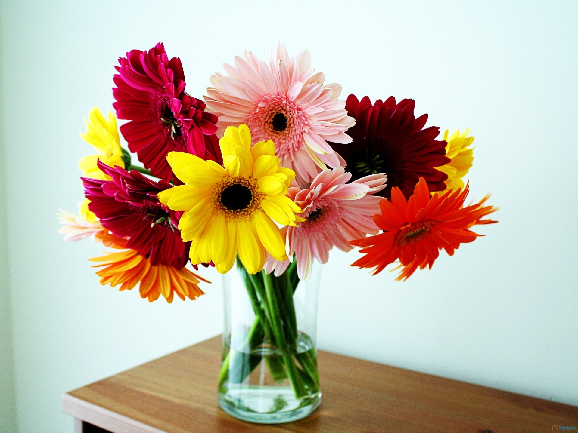 gerbera vase blumenstrauß