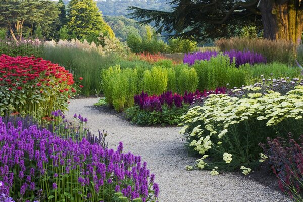 A path in a blooming park