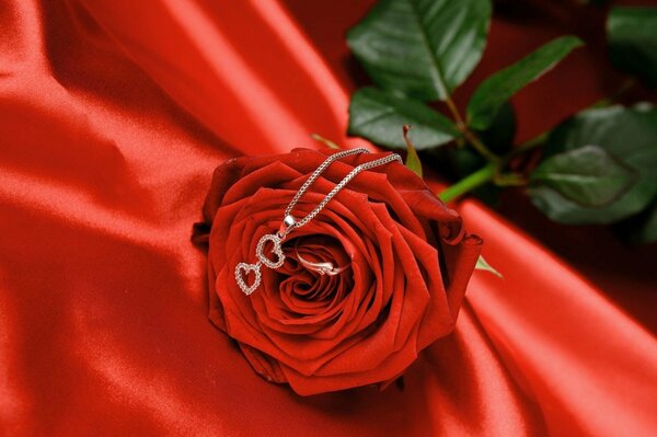 Pendant with hearts on a red rose