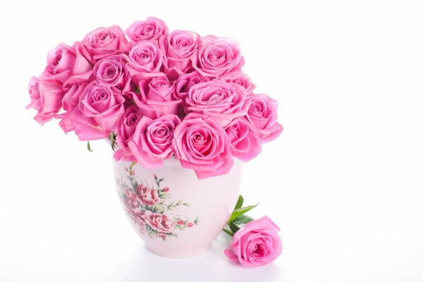 Pink roses in a vase