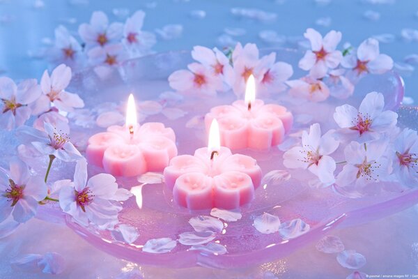 Lindas velas de flores Rosadas