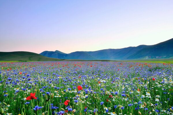 Un gran role de Flores en las montañas