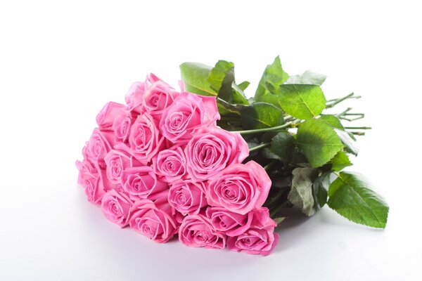 Beautiful bouquet of pink roses