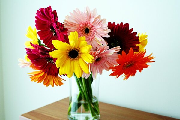 Hermoso ramo de gerbera en un jarrón