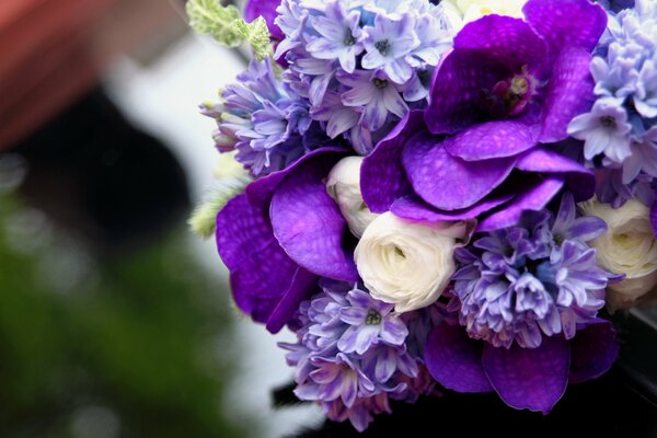 Bouquet lilla di ipcinto, Wanda e Orchidea