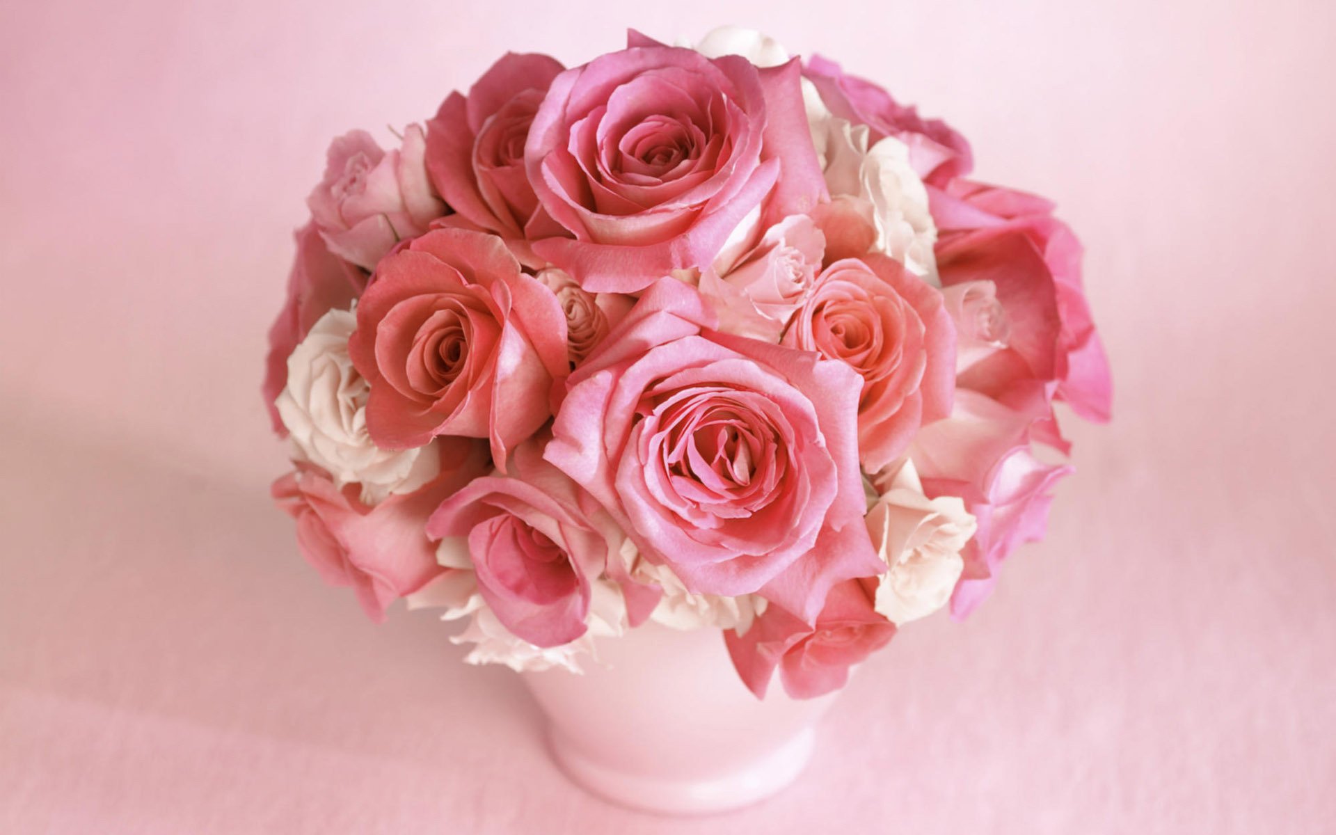 flower flowers bouquet pink color roses rose petals buds vase gently beautifully