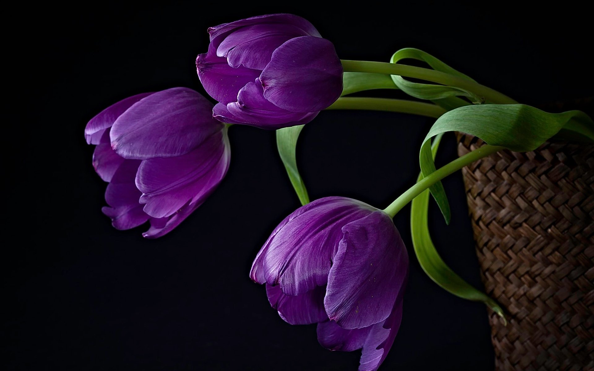 tulpen blumen korb komposition