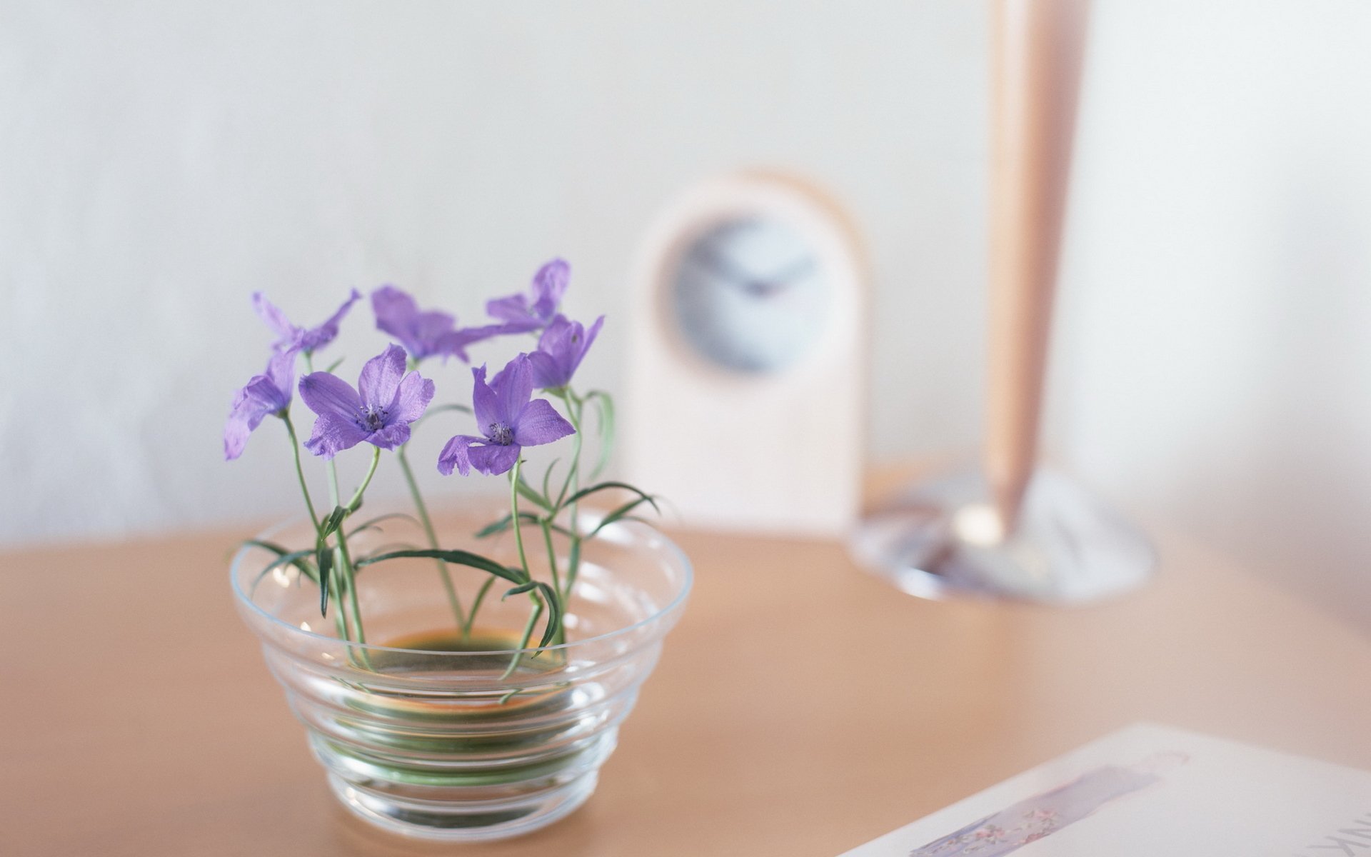 gros plan fleurs violet sur la table horloge réveil délicat coloration