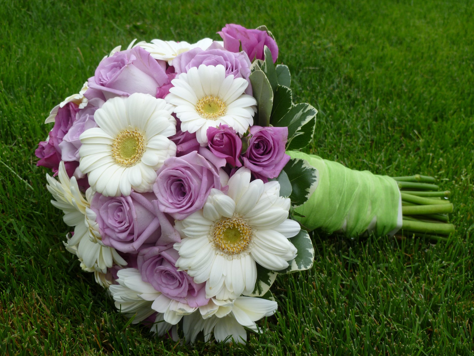 flor flores ramo boda rosa rosa gerbera fresco agradable elegante lindo rosa gerbera