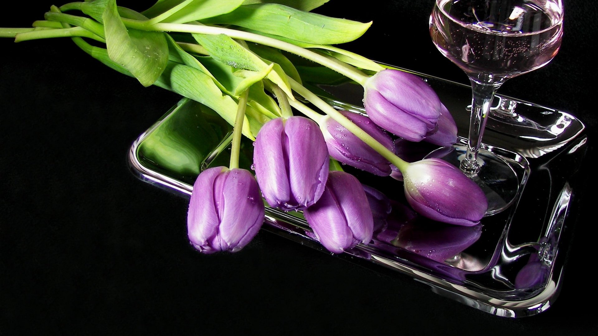 fleurs tulipes plateau verre à vin vin