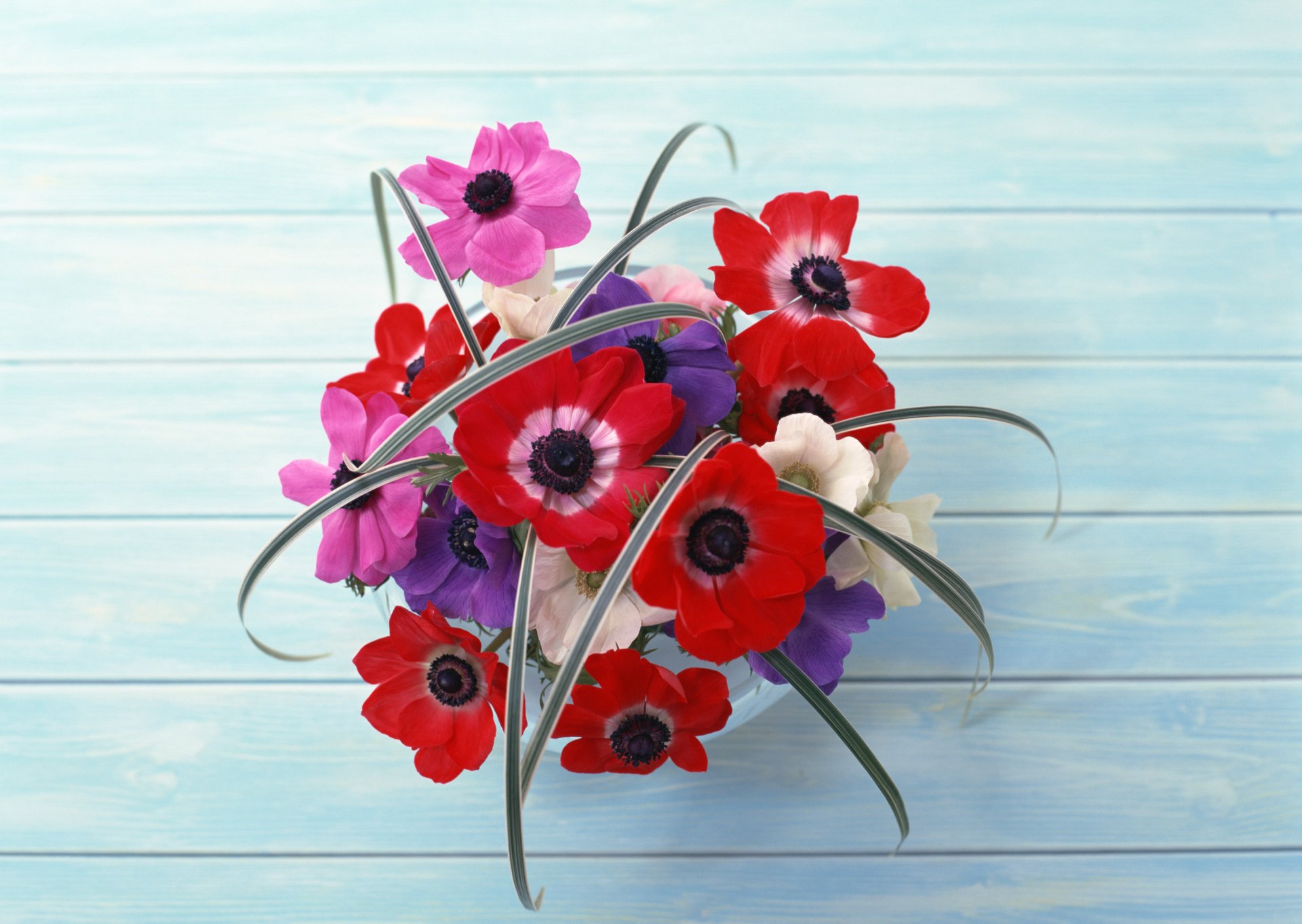 flowers table bouquet composition red beauty