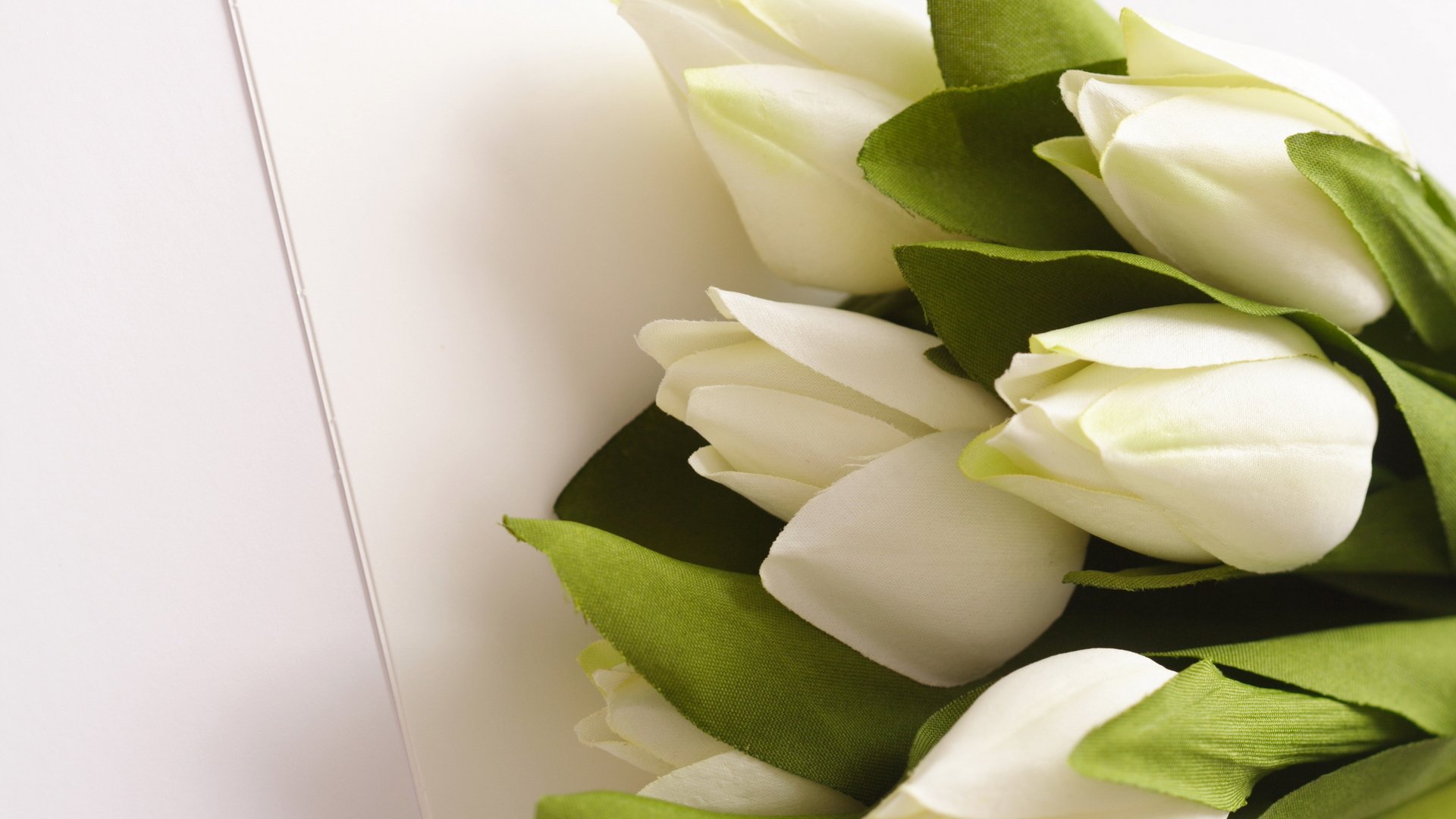 fleurs bouquet blanc tulipes vert feuilles