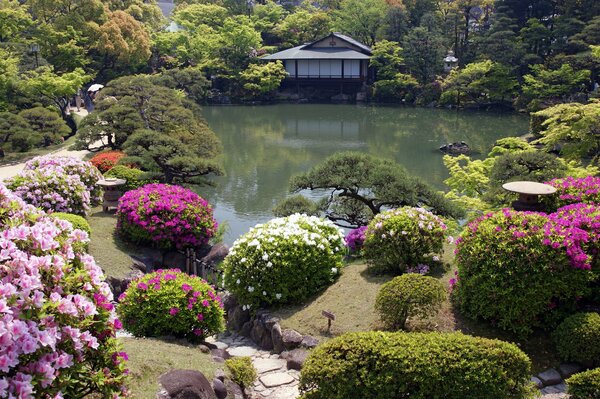 Ein ruhiger See im japanischen Garten