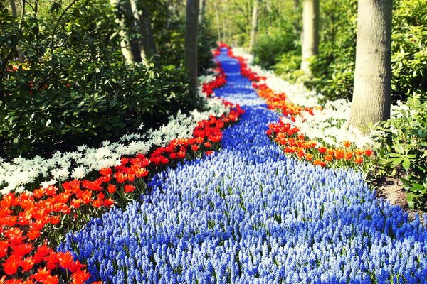 Route dans la forêt, entièrement parfumée par les fleurs