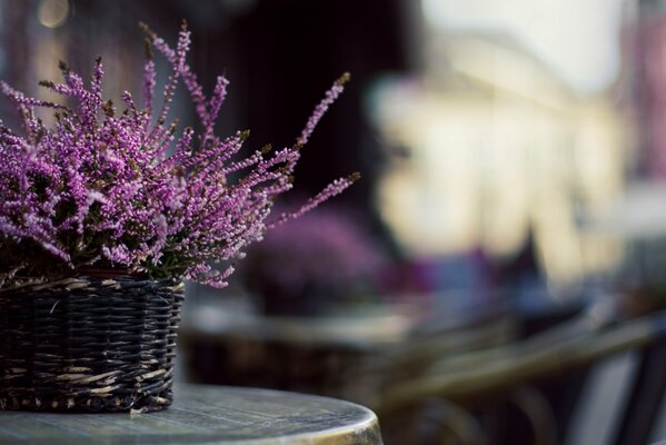 Panier de fleurs lilas sur la table