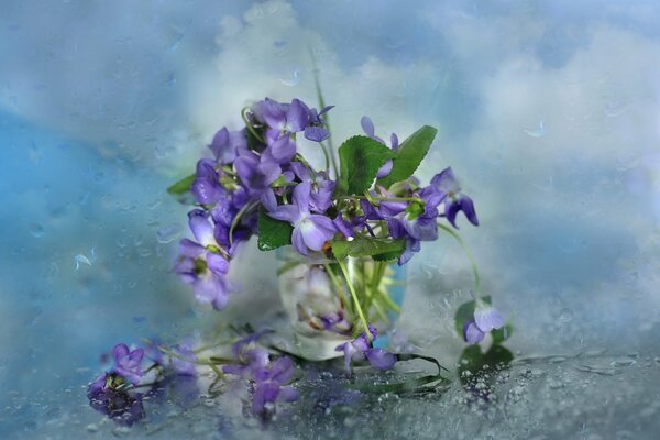 Plucked flowers in a glass of water