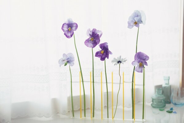 Composition of flowers in a glass vase