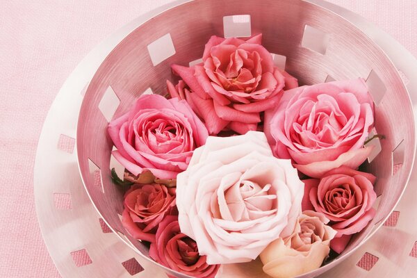 Rosebuds in a beautiful plate