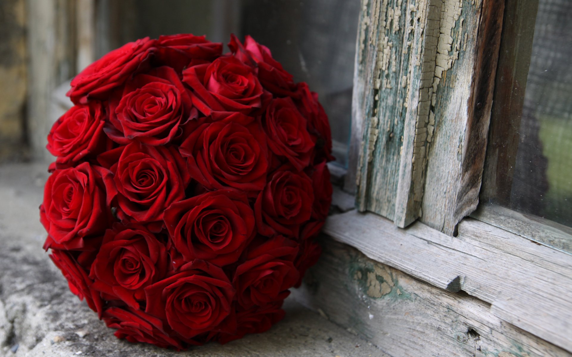 bouquet rouge roses fenêtre rebord de la fenêtre crack gros plan