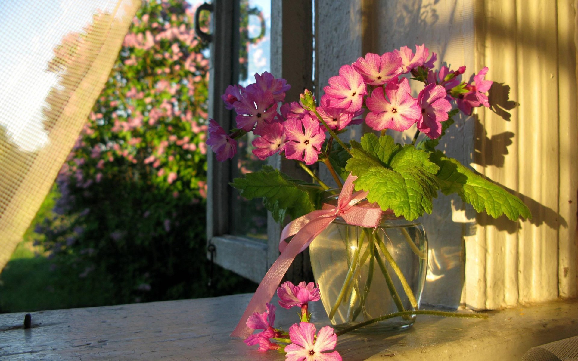 verano ventana cortina florero flores