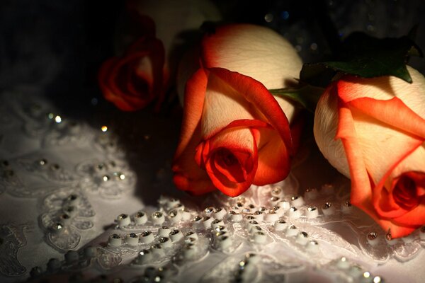 Hermosas rosas en el mantel con diamantes de imitación