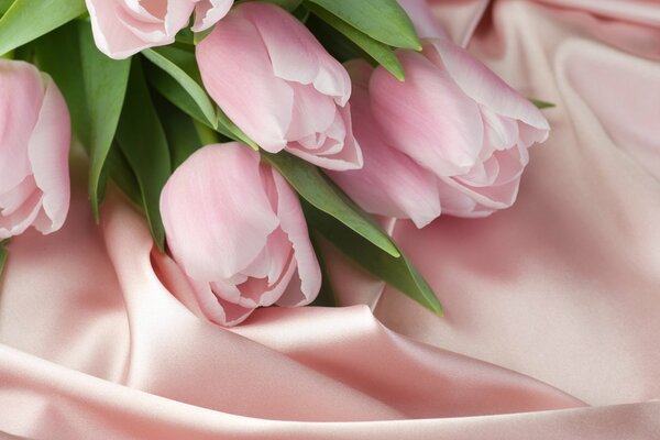 Pink tulips with green leaves on a pink silk fabric background