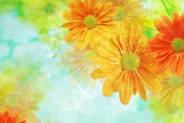 Summer flowers. Bright floral background