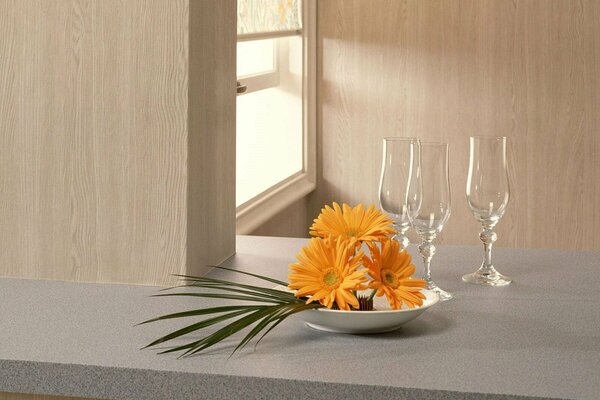 Three glasses and three gerberas in plates