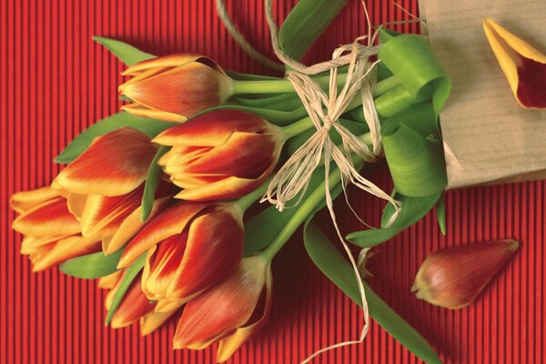 Bouquet of tulips on a red background