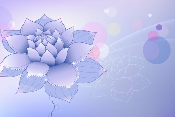 Graphics from the colors of the lilac lotus