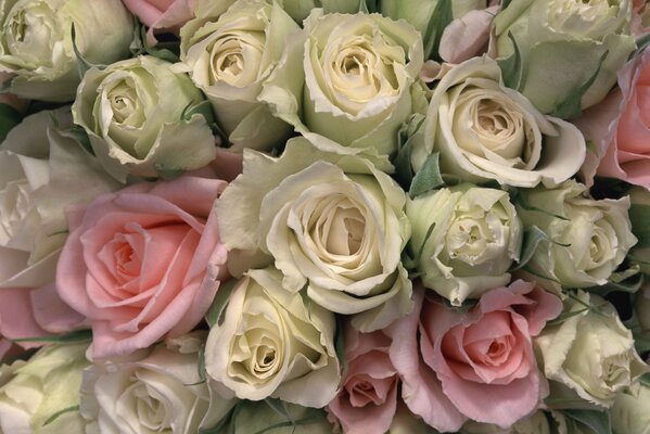 A beautiful bouquet of delicate roses